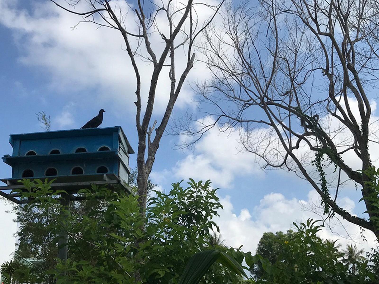 Khu Nghỉ Dưỡng Countryside Phú Quốc Ngoại thất bức ảnh