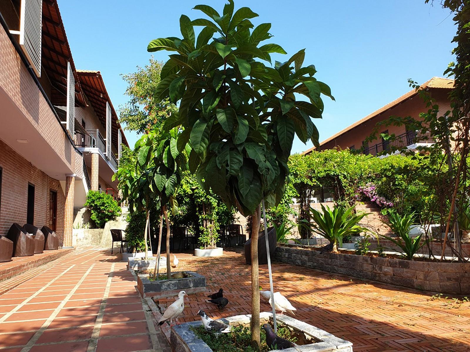 Khu Nghỉ Dưỡng Countryside Phú Quốc Ngoại thất bức ảnh